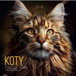 Kalendarz 2026 ścienny albumowy 30x30cm Koty - 1