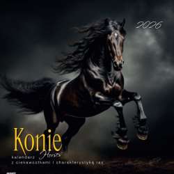 Kalendarz 2026 ścienny albumowy 30x30cm Konie - 1