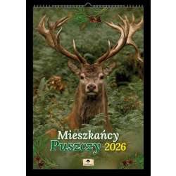 Kalendarz 2026 A3 ścienny mieszkańcy puszczy - 1