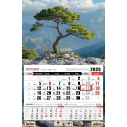 Kalendarz 2026 jednodzielny bonsai