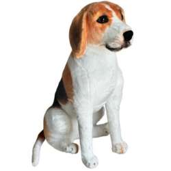 Beagle siedzący 65cm - 1