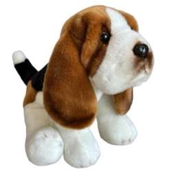 Basset siedzący 30cm - 1