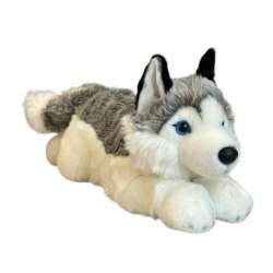 Pies Husky 42cm