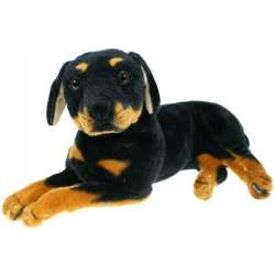 Pies rottweiler 47cm