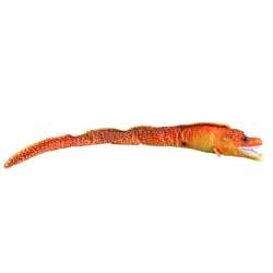Murena pomarańczowa 80cm