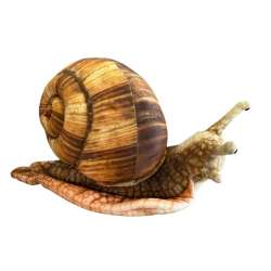 Ślimak 35cm