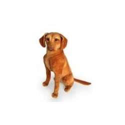 Wyżeł siedzący 44cm