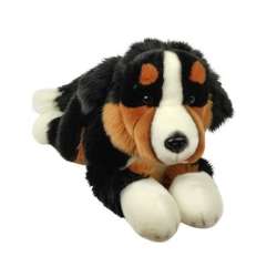 Pies Berneński 30cm - 1