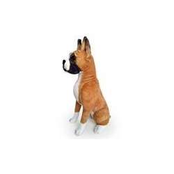 Pies Bokser 65cm