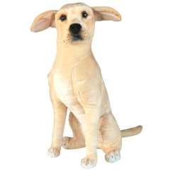 Pies Labrador 65cm
