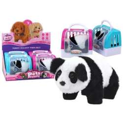 Panda interaktywna w transporterze mix