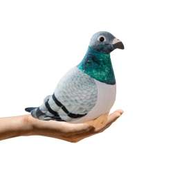 Gołąb grzywacz szary pluszowy 20cm