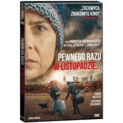 Pewnego razu w listopadzie DVD