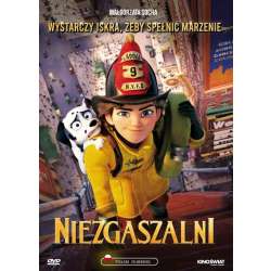 Niezgaszalni DVD