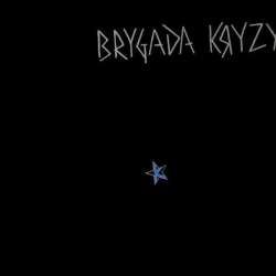 Brygada Kryzys (na 40-lecie) LP - 1