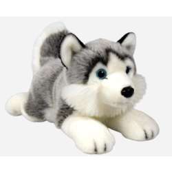 Husky leżący 34cm - 1