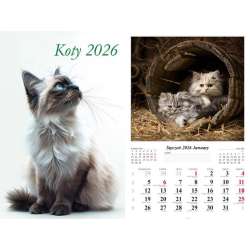 Kalendarz 2026 ścienny Koty - 1