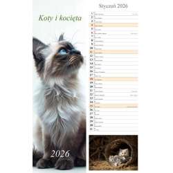 Kalendarz 2026 ścienny pasek Koty i kocięta