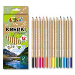 Kredki Kolori ołówkowe 12 kolorów natural PENMATE - 1