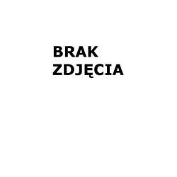 Figurka metalowa Diplodok ABINO - 1