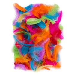 Piórka 5-12cm 10g brights - 1