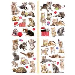 Naklejki 3D koty MIX
