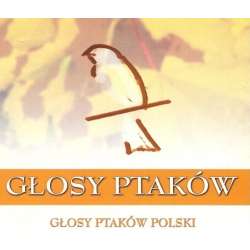 Głosy Ptaków vol.1 - Głosy Ptaków Polski (2CD) - 1