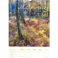 Kalendarz 2024 wieloplanszowy - Malowniczy las