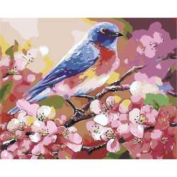 Malowanie po numerach - Wiosenny ptaszek 40x50cm