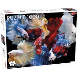Puzzle 1000 Animals: Fighting Fish - 1