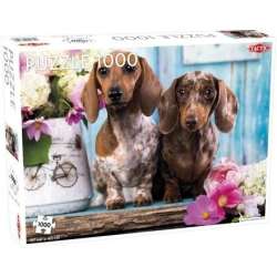 Puzzle 1000 Dashing Dachshunds - 1