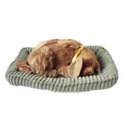 Śpiący pies na poduszce - Golden (6901440107219) - 1