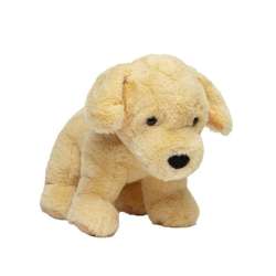 Pies Golden retriever 30 cm - 1