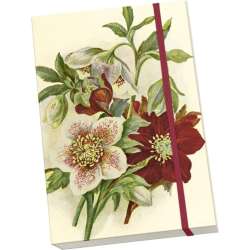 Notatnik ozdobny A5 STNOTE 141 Ciemiernik