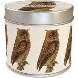 Zapachowa świeczka sowa - zapach leśny