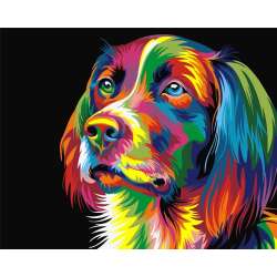 Malowanie po numerach - Kolorowy pies 40x50cm - 1