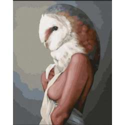 Malowanie po numerach - Kobieta Sowa 40x50 cm - 1
