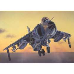 FRS.1 Sea Harrier (GXP-498566) - 1