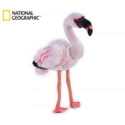 Maskotka National Geographic Flaming 70760 (003-70760) - 1