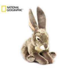 Maskotka National Geographic Zając 70815 (003-70815) - 1