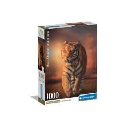 Puzzle 1000 elementów Compact Tygrys (GXP-865634) - 1