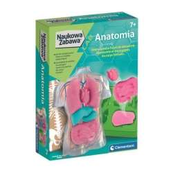 Naukowa Zabawa. Anatomia - 1