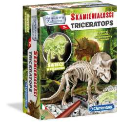 Skamieniałości Triceratops (60892) - 1