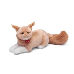 Kot rasy Maine Coon - 1