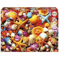 Puzzle 1000 Kolorowe muszelki