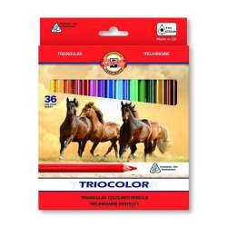 Kredki 36 kolorów Triocolor 9mm 3145 KOH-I-NOOR (3145036005KS0404) - 1
