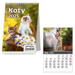 Kalendarz 2025 biurkowy Koty HELMA - 1