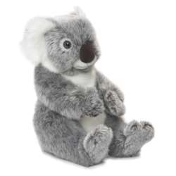 Koala 22 WWF - 1