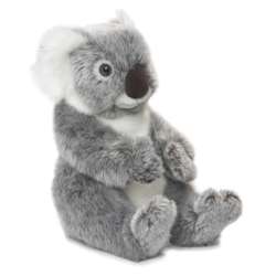 Koala 22 WWF