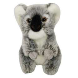 Koala siedząca 18cm - 1